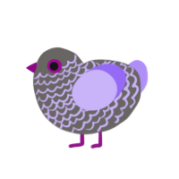 (unnamed), a grey and lilac chicken with a lace pattern