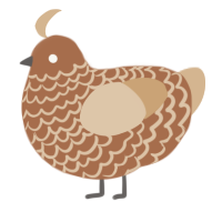 A brown and beige chicken with a lace pattern