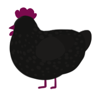 A black and sable chicken with a speckle pattern