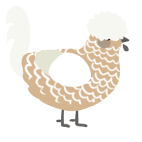 A beige and white chicken with a lace pattern