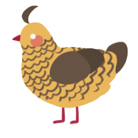 A honey and bark chicken with a lace pattern