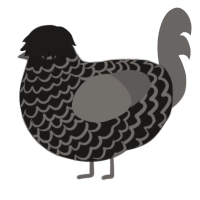 A sable and grey chicken with a lace pattern