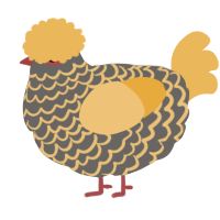 A grey and honey chicken with a lace pattern