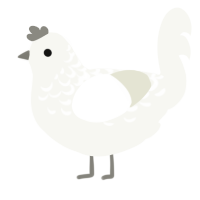 A white chicken with a half-lace pattern