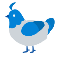 A mist and sapphire chicken with a head pattern