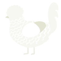A white chicken with a lace pattern
