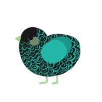 笑顔, a sable and turquoise chicken with a double-lace pattern