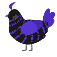 A sable and indigo chicken with a bar pattern