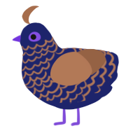 A navy and brown chicken with a lace pattern