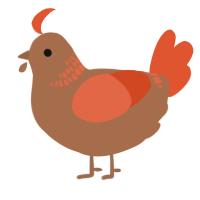 A brown and vermilion chicken with a neck-band pattern