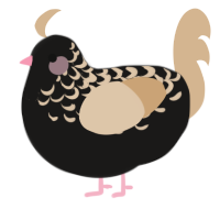 A sable and beige chicken with a half-lace pattern