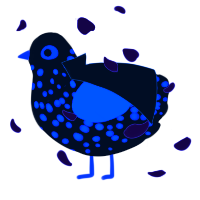 A black and sapphire chicken with a speckle pattern