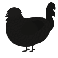 A sable and black chicken with a lace pattern