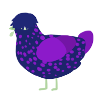 A navy and violet chicken with a speckle pattern
