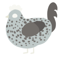 A silver and grey chicken with a speckle pattern