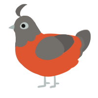 A vermilion and grey chicken with a head pattern