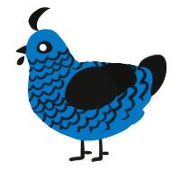 A sapphire and black chicken with a lace pattern