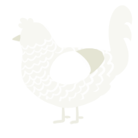 A white chicken with a lace pattern