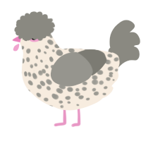 A cream and ash chicken with a speckle pattern