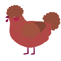 A red and russet chicken with a half-bar pattern