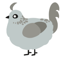 A silver and ash chicken with a neck-speckle pattern