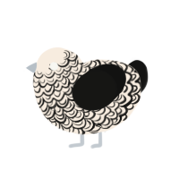 Encre, a cream and black chicken with a double-lace pattern