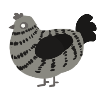 A ash and sable chicken with a bar pattern