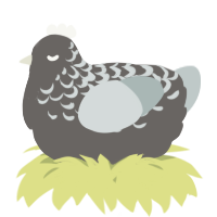 A grey and silver chicken with a half-lace pattern