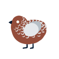 Chocodada, a russet and mist chicken with a half-lace pattern