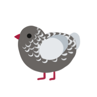 (unnamed), a grey and mist chicken with a half-lace pattern