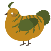 A ochre and olive chicken with a half-bar pattern