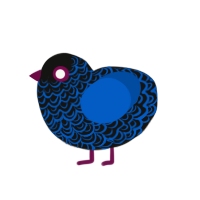 Midnight Lover, a black and ultramarine chicken with a double-lace pattern