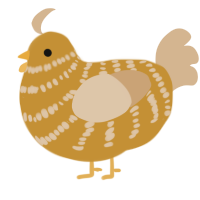 A gold and beige chicken with a bar pattern