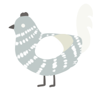 A silver and white chicken with a bar pattern
