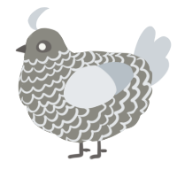 A ash and mist chicken with a lace pattern