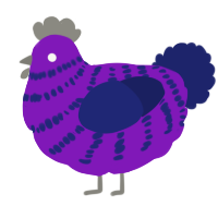 A violet and navy chicken with a bar pattern