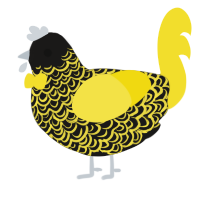 A sable and yellow chicken with a double-lace pattern