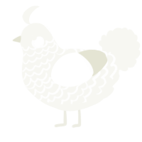 A white chicken with a lace pattern