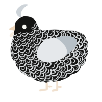 A black and mist chicken with a double-lace pattern