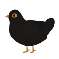 A sable chicken