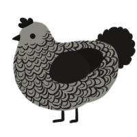 A ash and sable chicken with a double-lace pattern