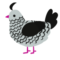 A silver and black chicken with a lace pattern