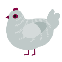 A silver chicken with a half-bar pattern
