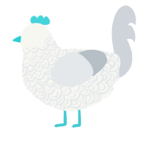 A white and mist chicken with a double-lace pattern