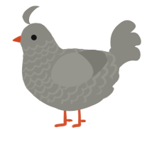 A ash chicken with a lace pattern