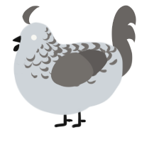 A mist and grey chicken with a half-lace pattern