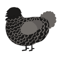 A sable and grey chicken with a lace pattern