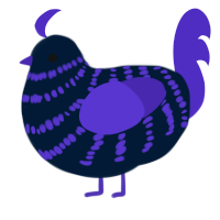 A tumblr and indigo chicken with a bar pattern