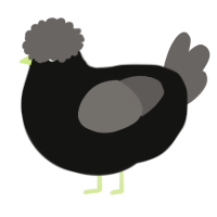 A black and grey chicken