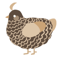 A bark and beige chicken with a lace pattern